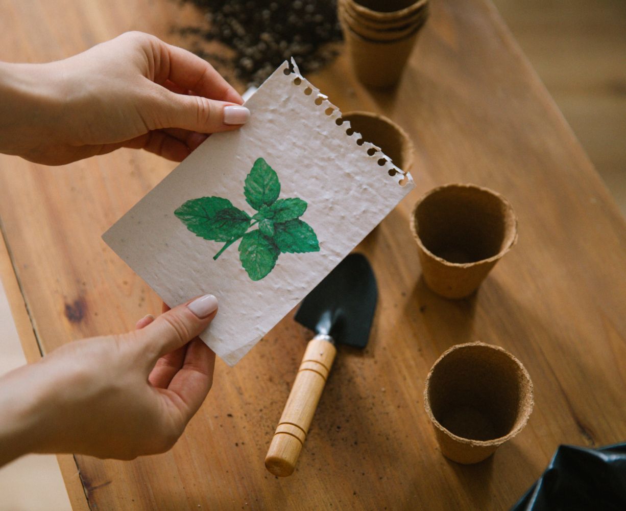 Organic seeds in seed calendar