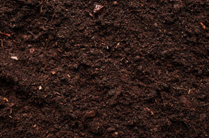Discover our CO<sub>2</sub>-reduced organic composts for stronger plants with healthy roots!