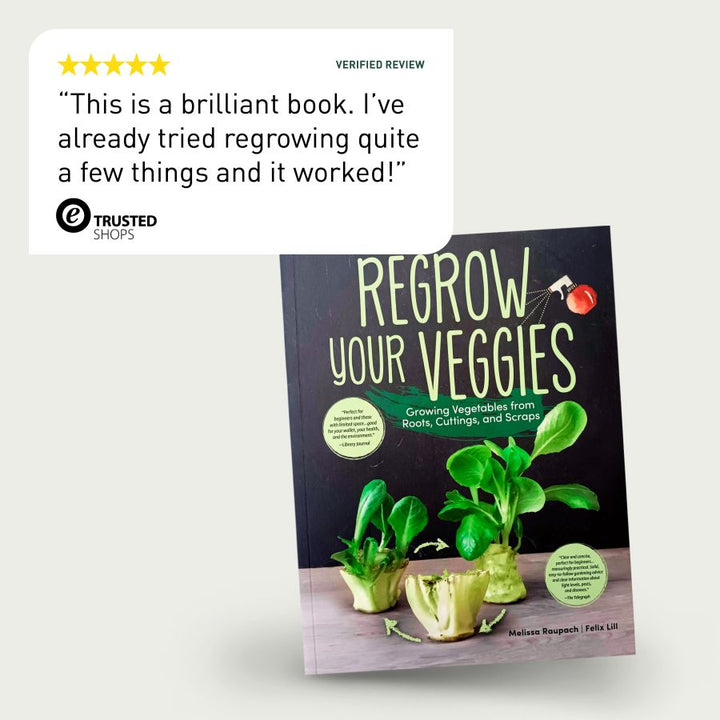 review of Regrow Your Veggies