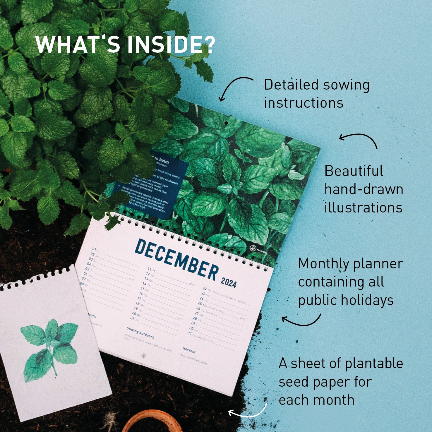 Plantable Calendar 2024 Plantura Shop Plantura UK Plantable Calendar 2025 Uk