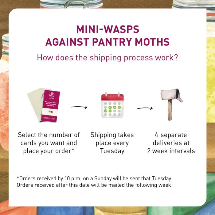 Delivery of Mini-wasps against Pantry Moths