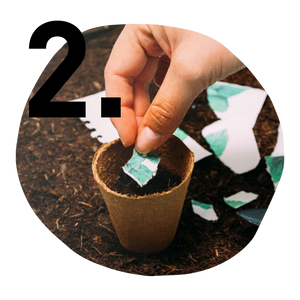 Tear up seed paper and plant in soil