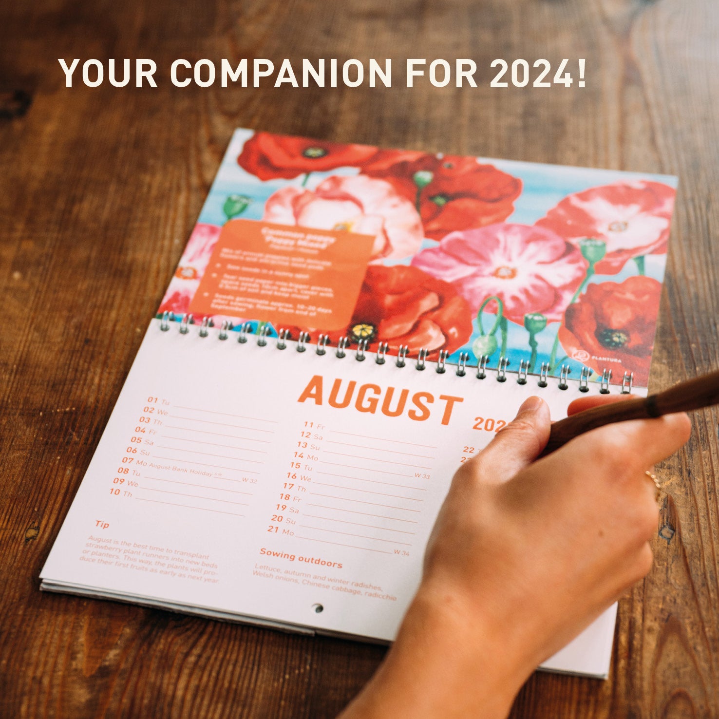 Plantable Calendar 2024 Plantura Shop Plantura UK plantable-calendar-2024-plantura-shop-plantura-uk
