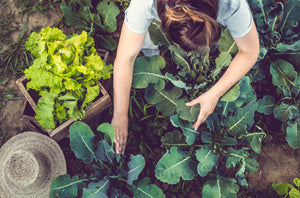 Discover helpful tutorials & exciting gardening inspiration