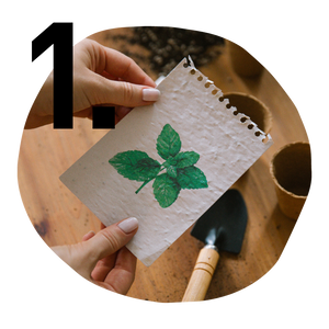 Remove seed paper from plantable calendar