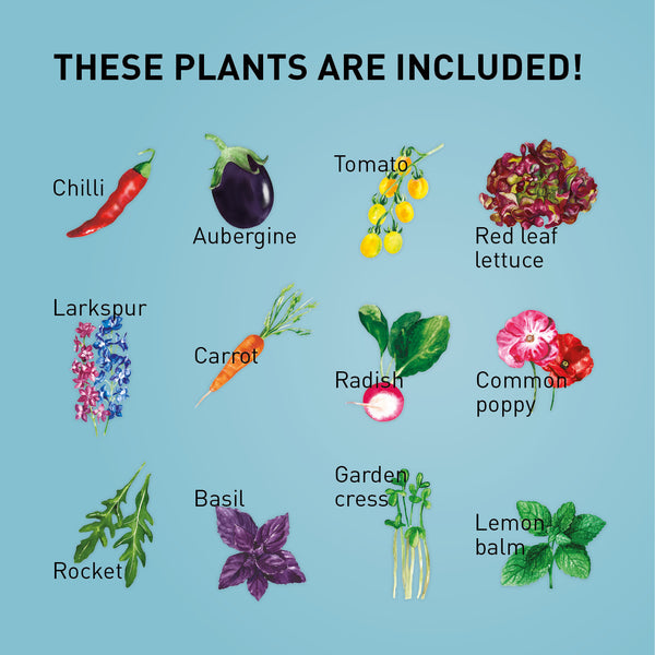 Varieties included in Plantura Plantable Calendar 2024