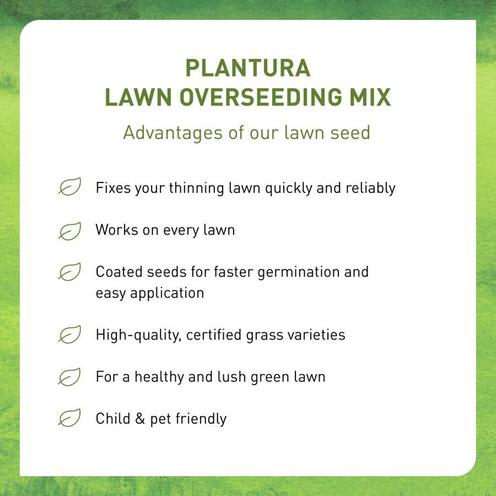 Plantura Lawn Overseeding Mix advantages