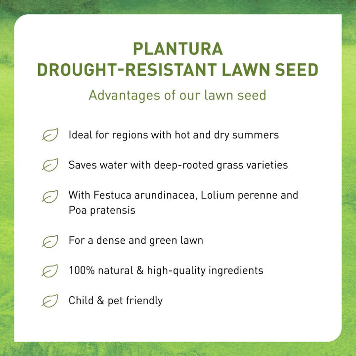 Plantura Drought-Resistant Lawn Seed advantages