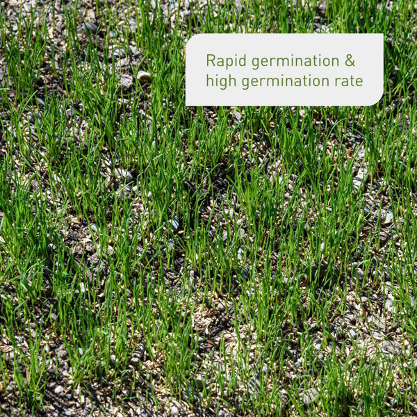 Effects of reseeding grass seed