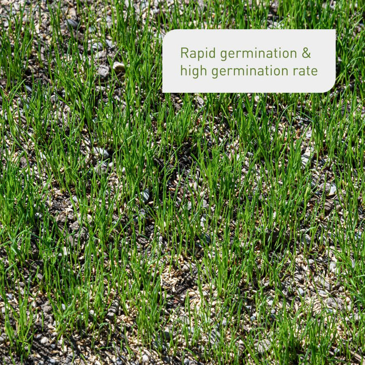 Effects of reseeding grass seed