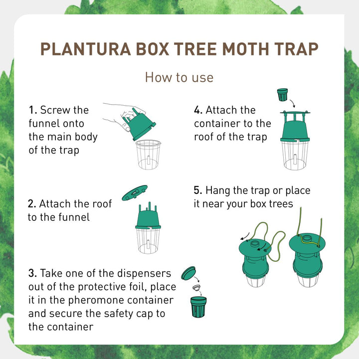 Assembling the Plantura Box Tree Moth Trap