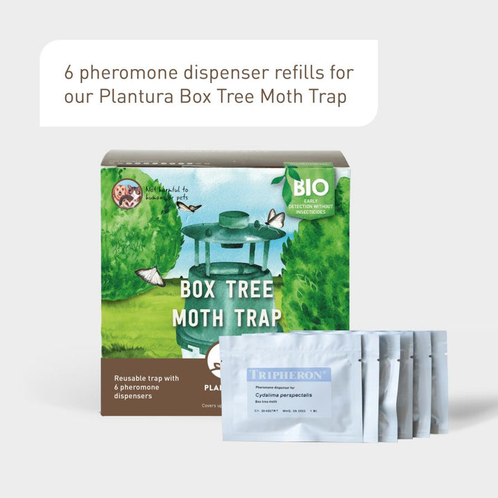 Plantura Box Tree Moth Trap and refill pheromone dispensers