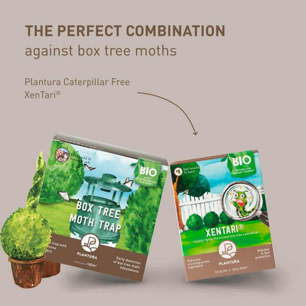 Plantura Box Tree Moth Trap and XenTari®