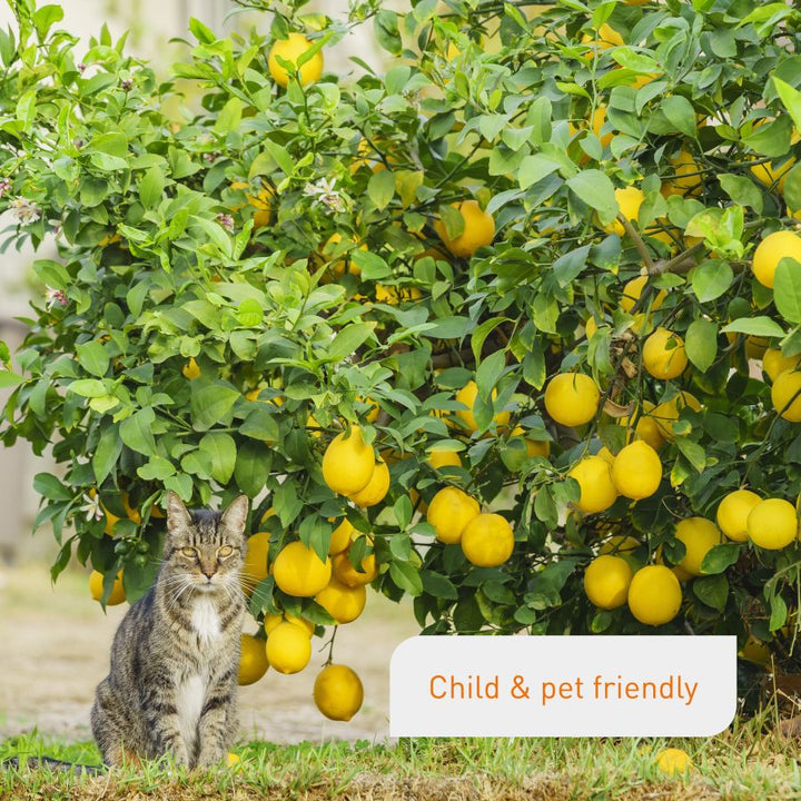 Pet-friendly liquid fertiliser for citrus trees