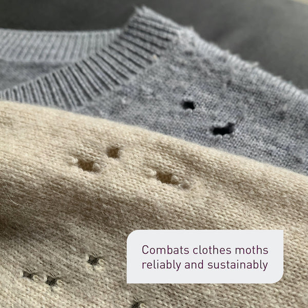 Damage caused by clothes moths