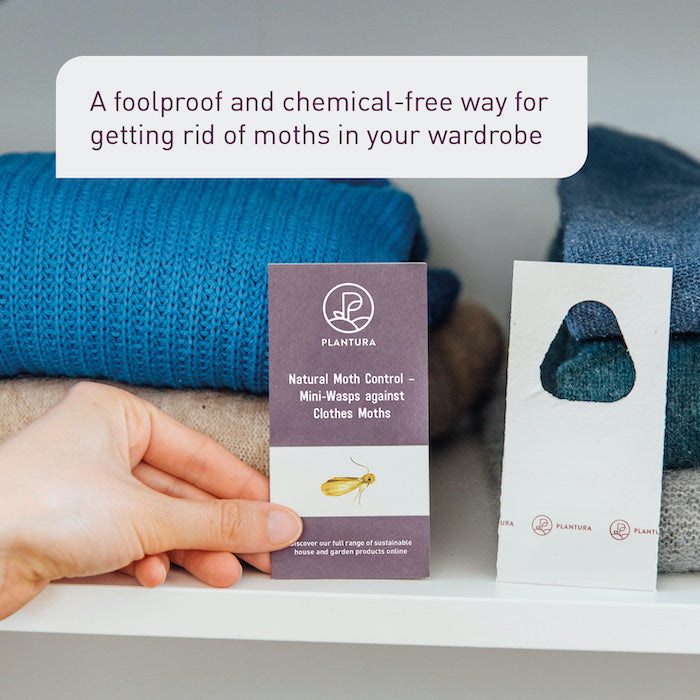 Organic Moth Control Parasitic Wasps against Clothes Moths - Plantura Shop – Plantura UK