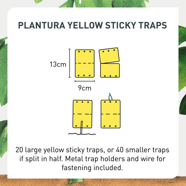 Contents of Plantura Yellow Sticky Traps