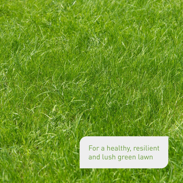 Effects of lawn fertiliser by Plantura