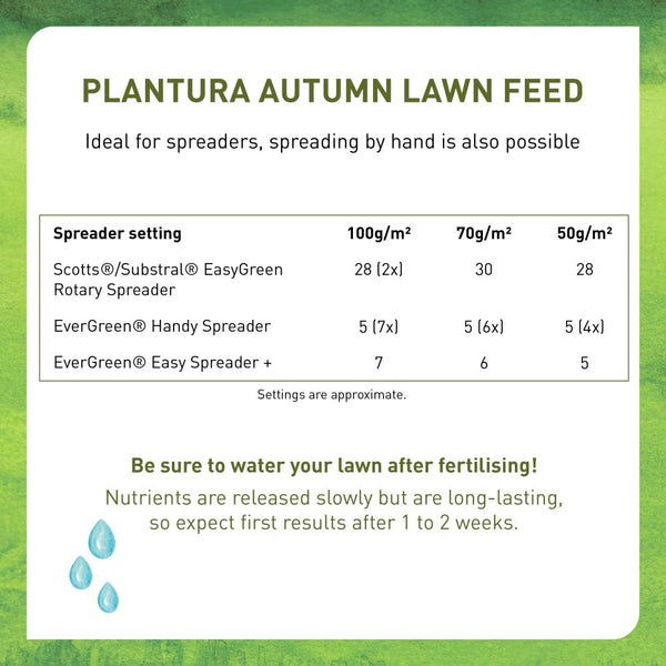 Autumn lawn fertiliser application with spreader