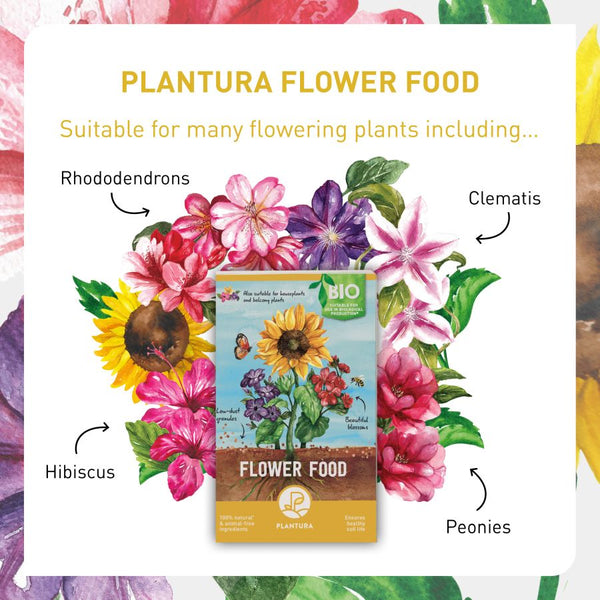 Plant food for flowering plants