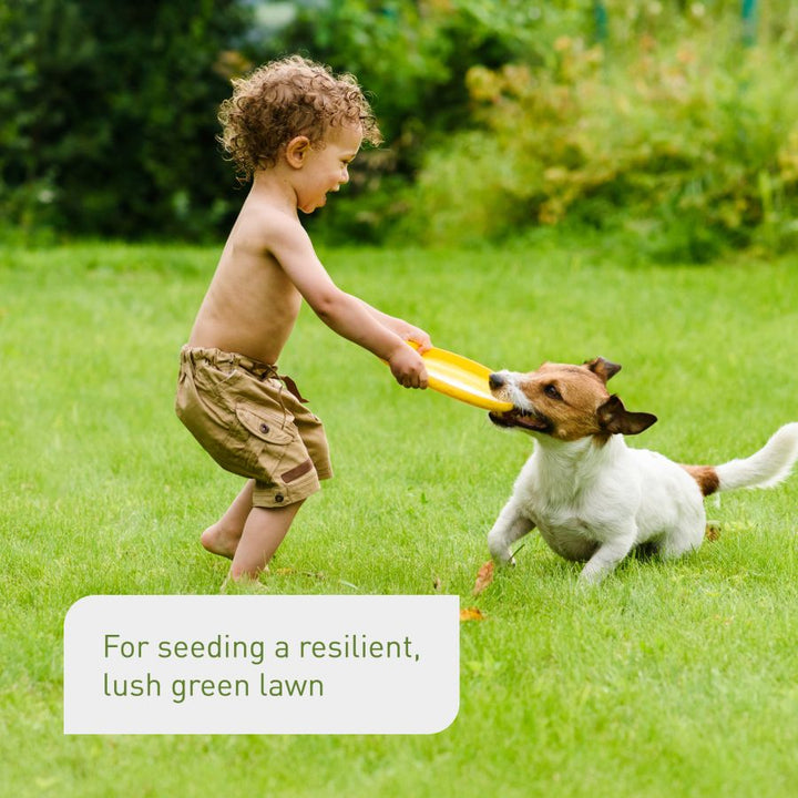 Hard-wearing lawn seed mix