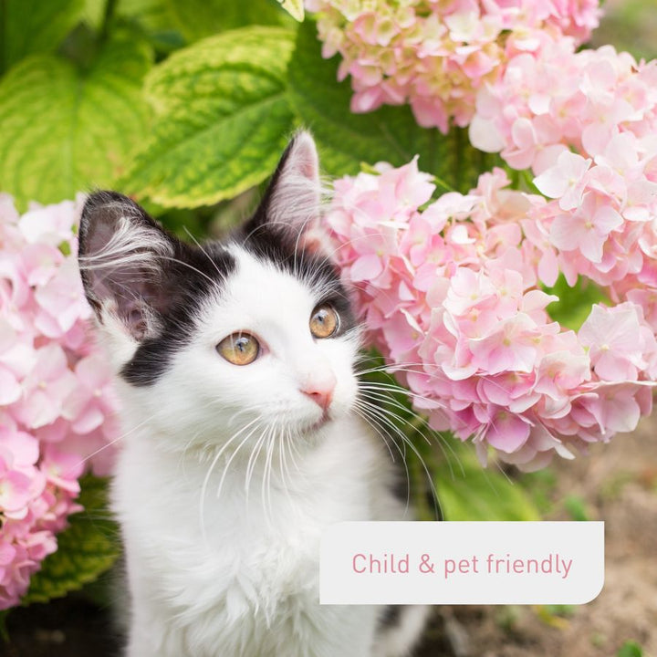 Pet-friendly hydrangea fertiliser by Plantura