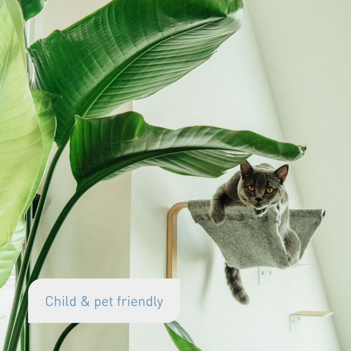 Pet-friendly liquid indoor plant fertiliser