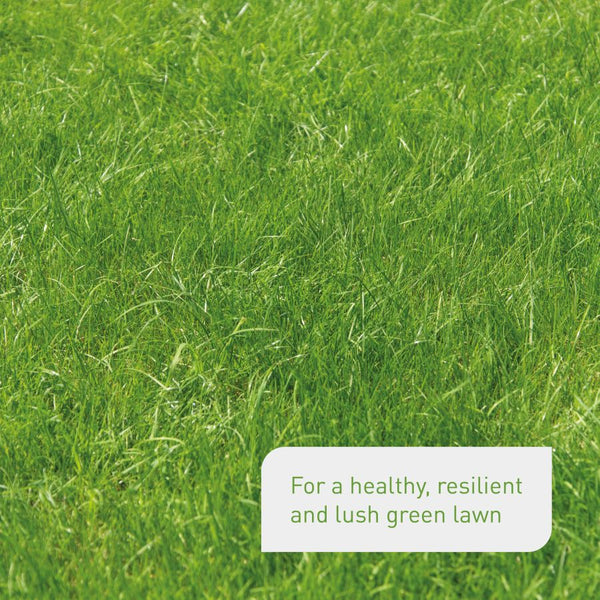 Effects of Plantura lawn fertiliser