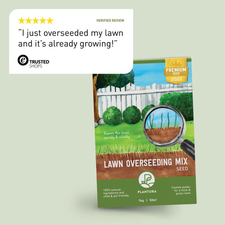Review of Plantura Lawn Overseeding Mix