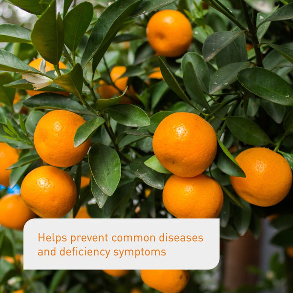 Effects of liquid citrus fertiliser