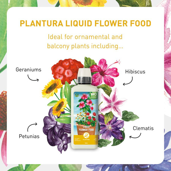 Liquid fertiliser for flowering plants