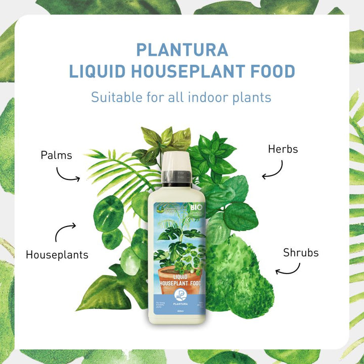 Liquid fertiliser for houseplants