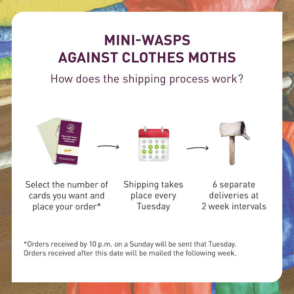 Delivery of Mini-wasps against Clothes Moths