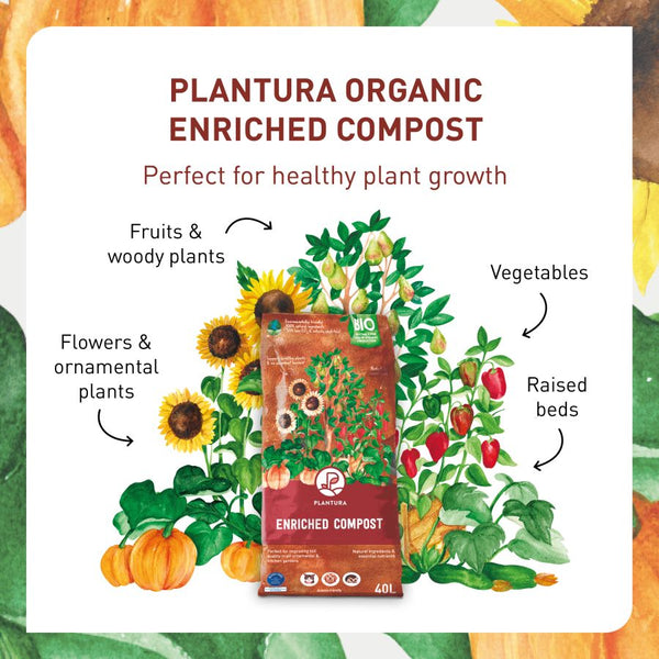 Organic enriched compost for healthy plant