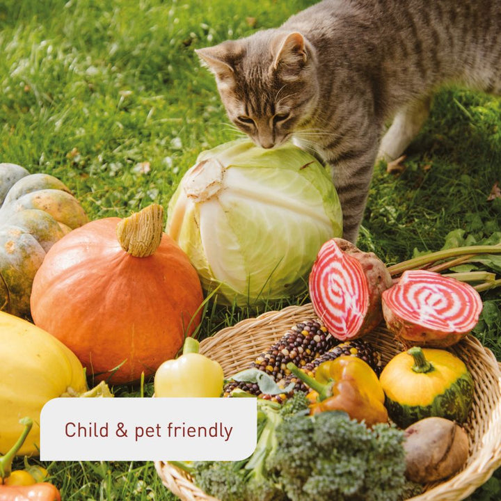 Pet-friendly compost for raised beds