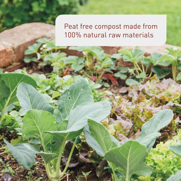 Enriched compost for raised beds