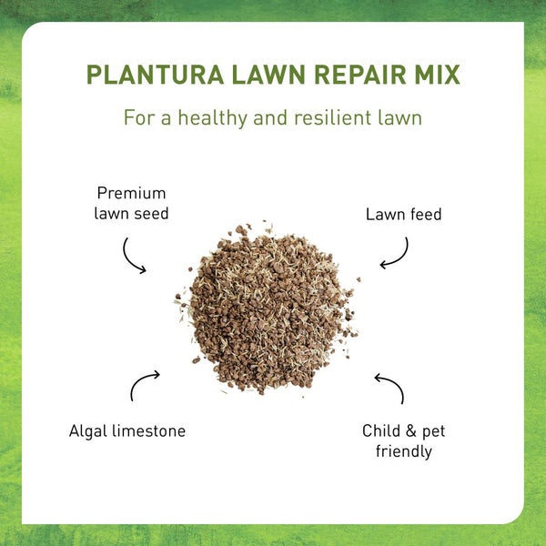 Lawn repair seeds by Plantura