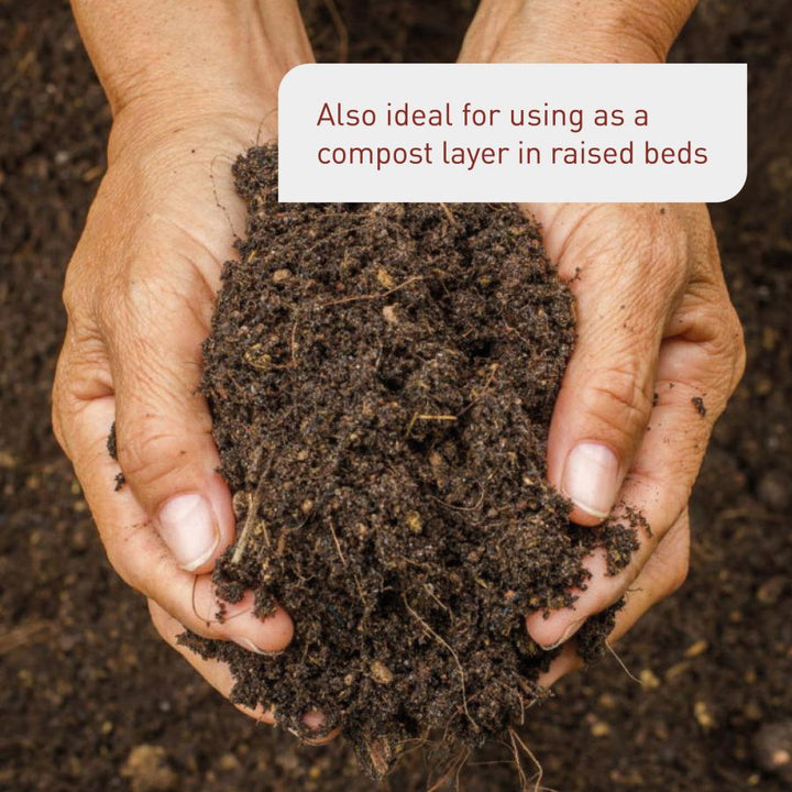 Enriched soil made from plant-based ingredients