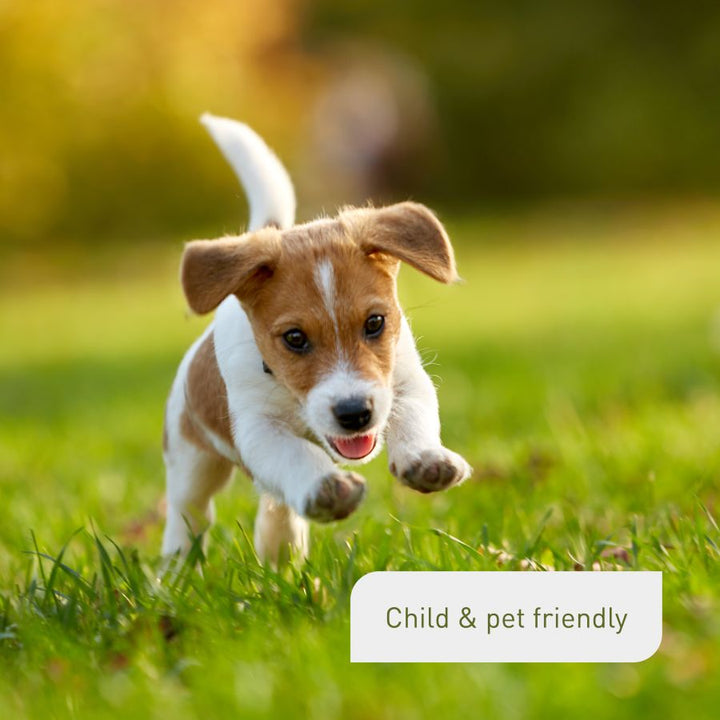 Pet-friendly autumn grass feed by Plantura