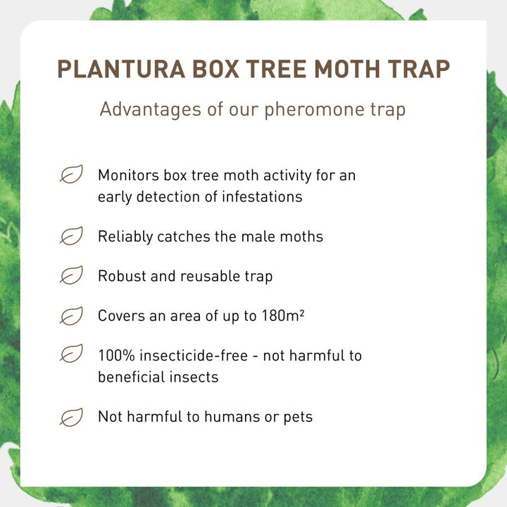 Advantages of our pheromone trap for box tree moths