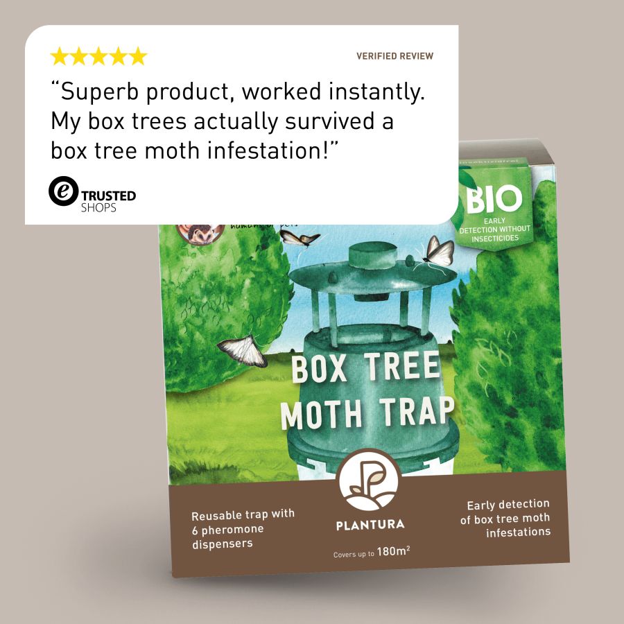 Box Tree Insecticide Box Tree Moth Trap - Plantura Shop โ Plantura UK
