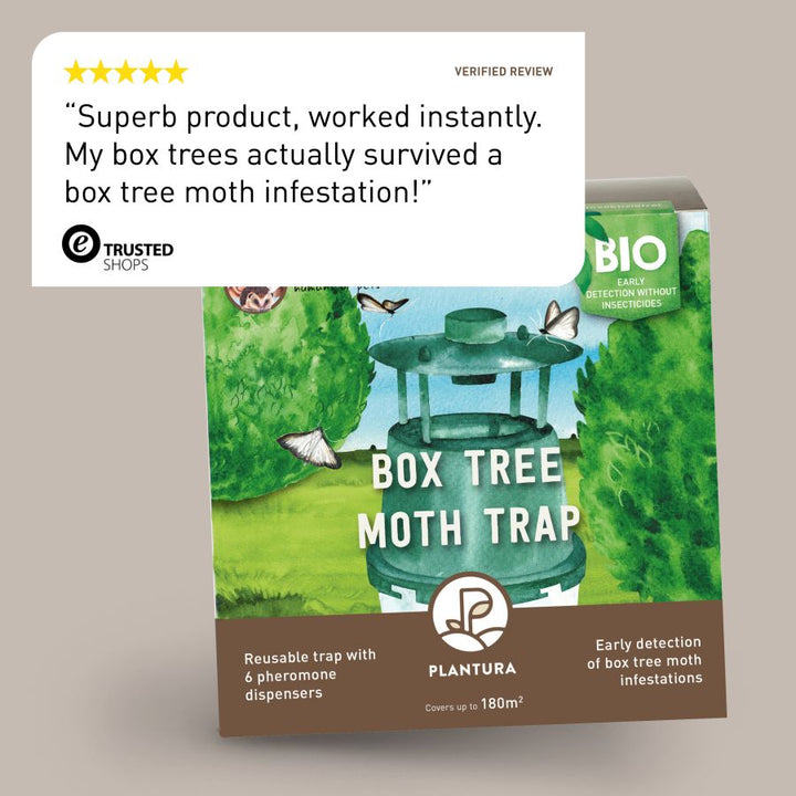 Review of Plantura Box Tree Moth Trap