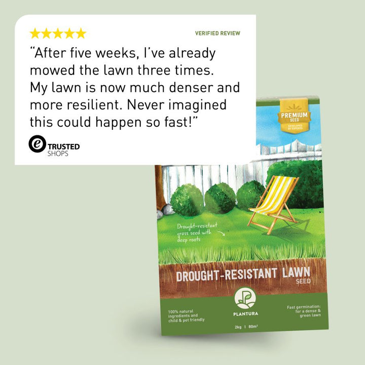 Review of Plantura Drought-Resistant Lawn Seed