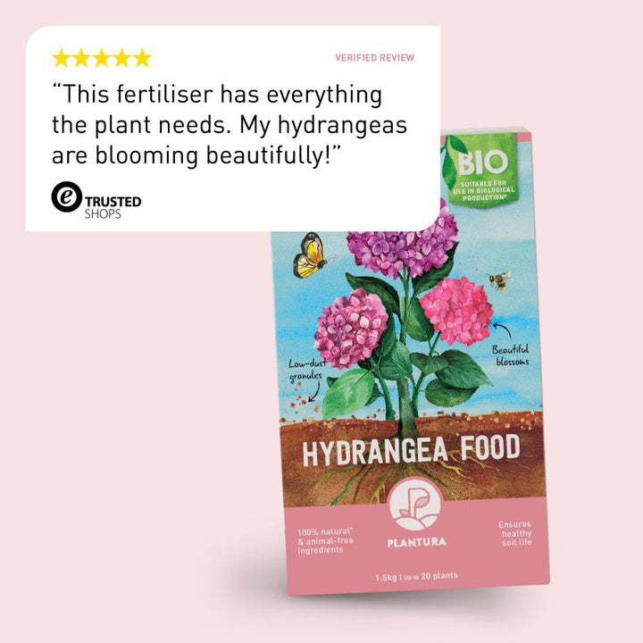 Review of Plantura Hydrangea Food