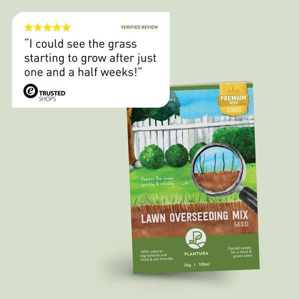 Review of Plantura Lawn Overseeding Mix
