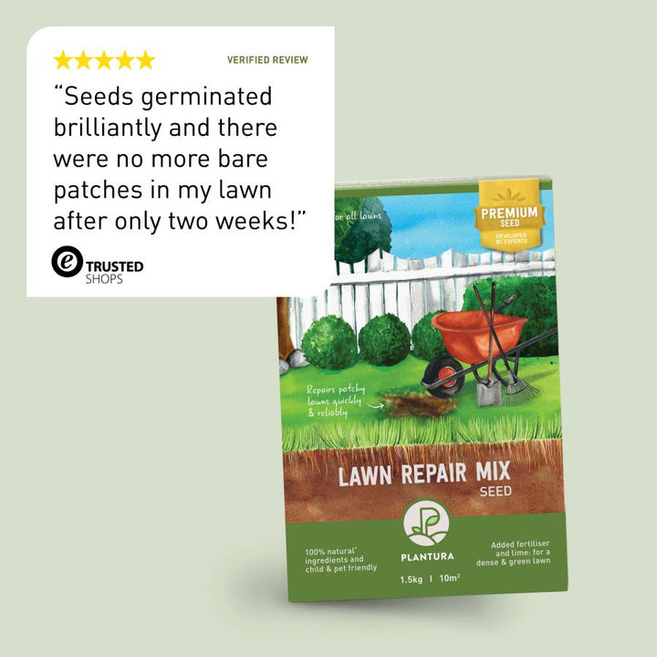 Review of Plantura Lawn Repair Mix