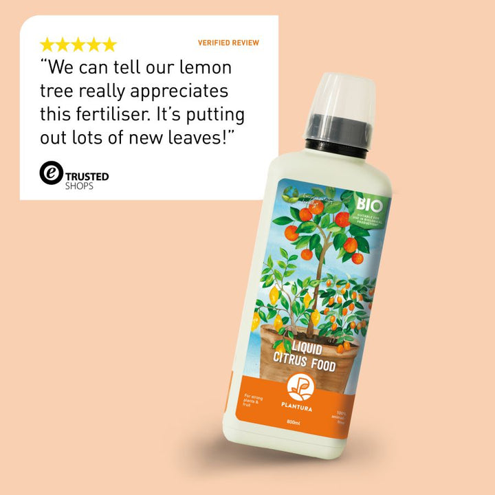 Review of Plantura Liquid Citrus Food