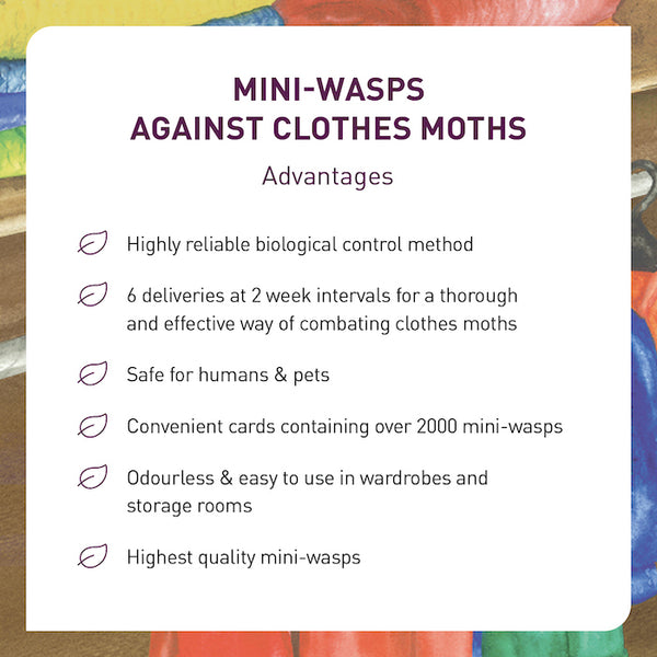 Advantages of our Mini-wasps against Clothes Moths