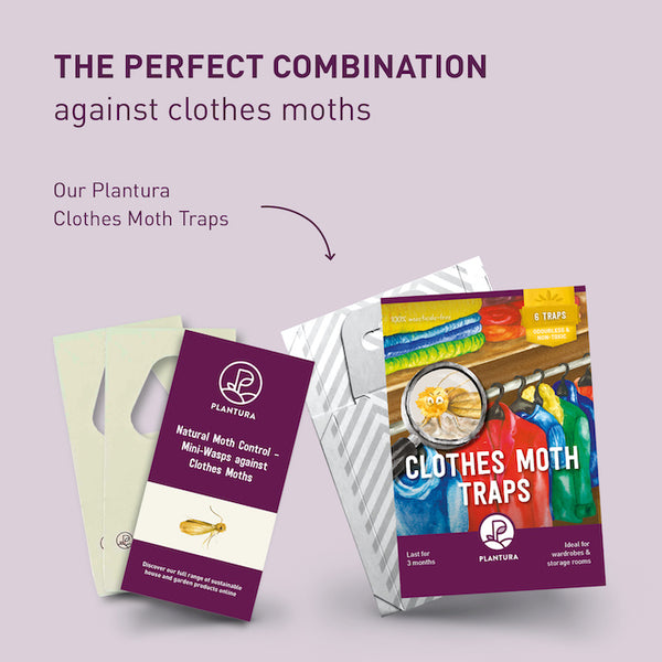 Organic Moth Control Parasitic Wasps against Clothes Moths - Plantura Shop – Plantura UK