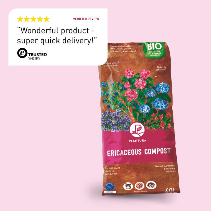 Plantura Ericaceous Compost review